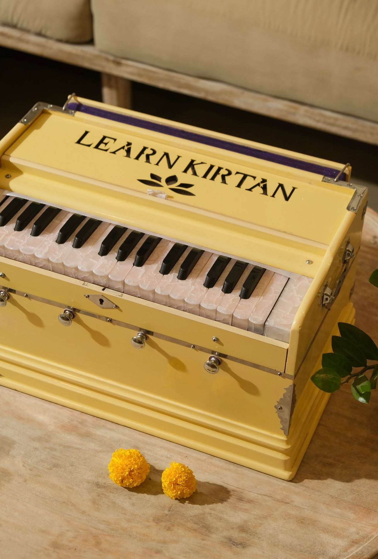 Buttercream Mini Harmonium